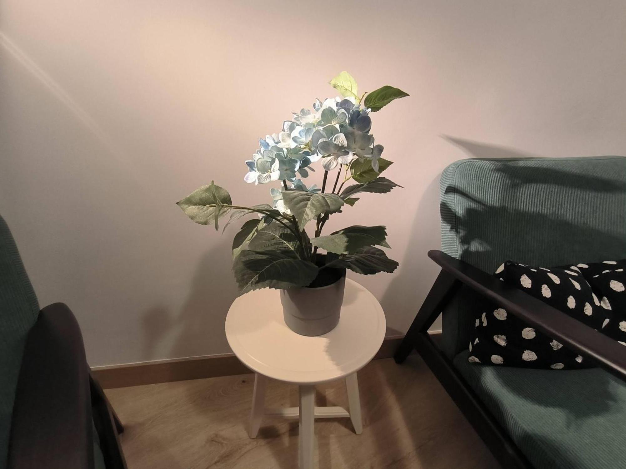 Apartamento Zabala Conoce Bilbao Desde Dentro 외부 사진